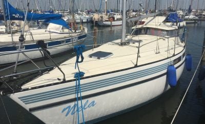 HAI 860 – Zeilboot – Hoorn